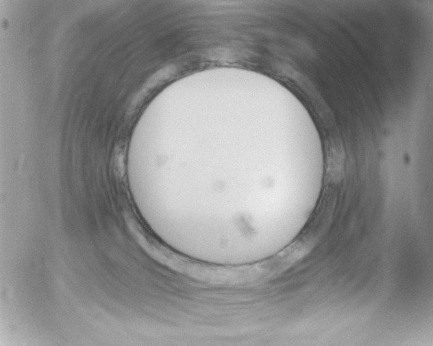 X0000052940036200507221158