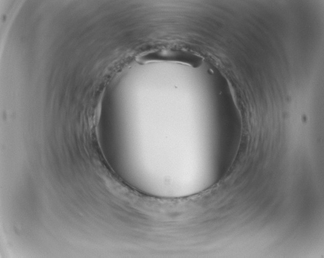 X0000052940037200507221158