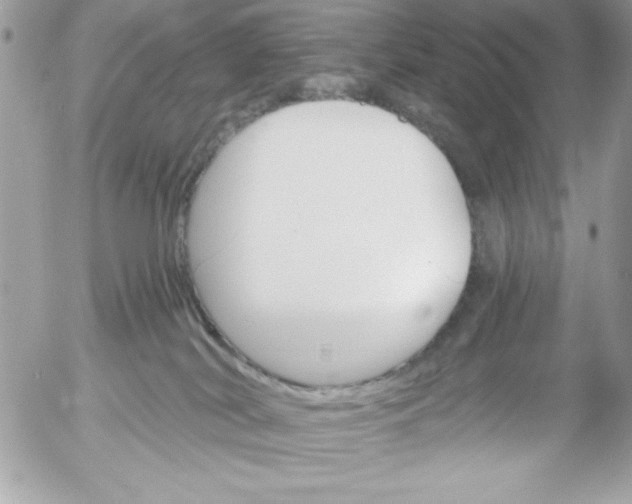 X0000052940038200507221158