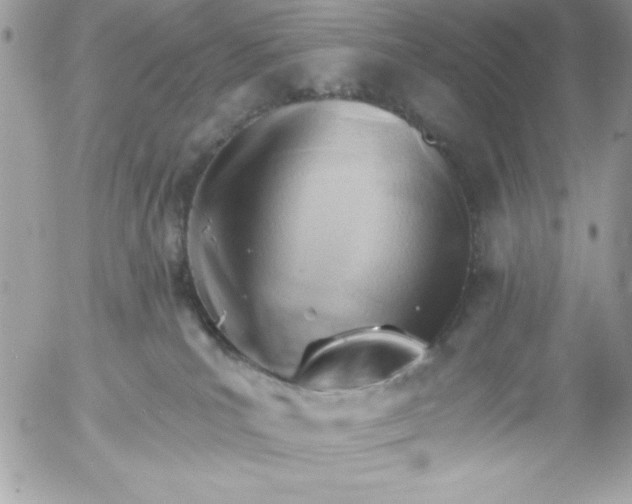 X0000052940039200507221158