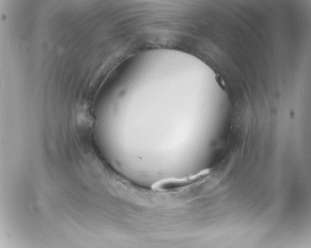 X0000052940040200507221158