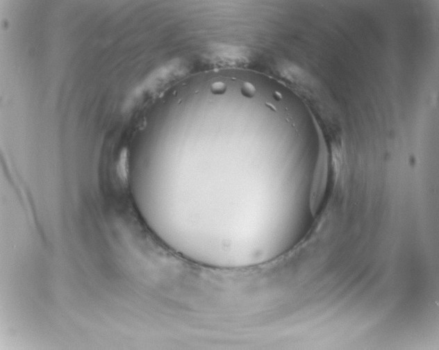 X0000052940041200507221158