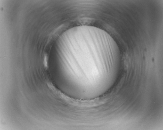 X0000052940042200507221158