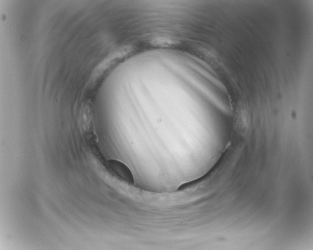 X0000052940043200507221158