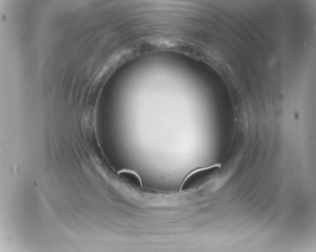 X0000052940044200507221158