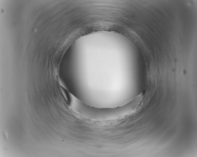 X0000052940045200507221158