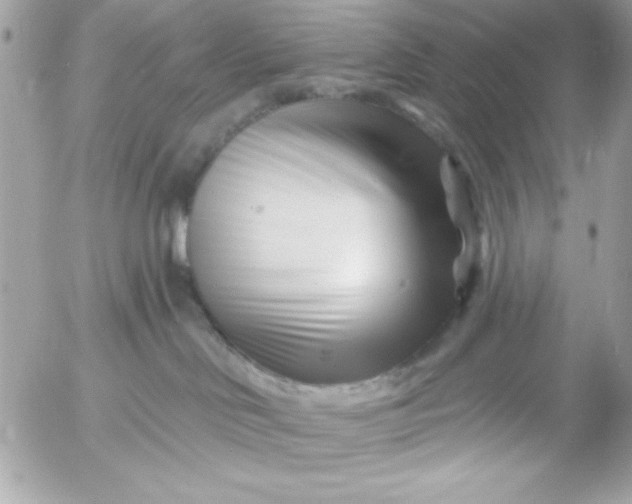 X0000052940046200507221158