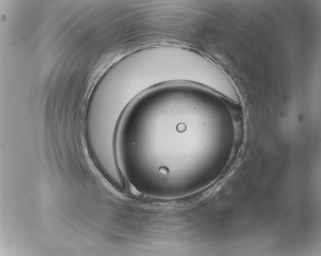 X0000052940049200507221157