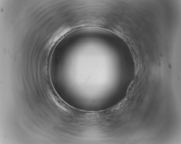 X0000052940050200507221157