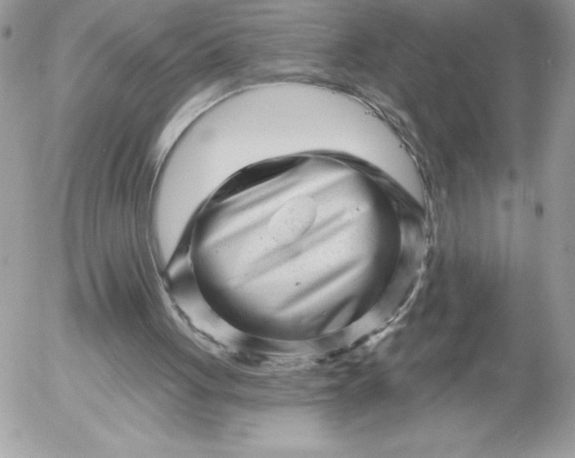 X0000052940051200507221157