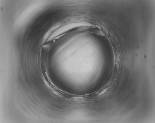 X0000052940052200507221157