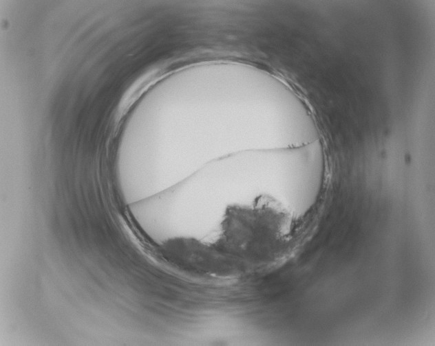 X0000052940053200507221157