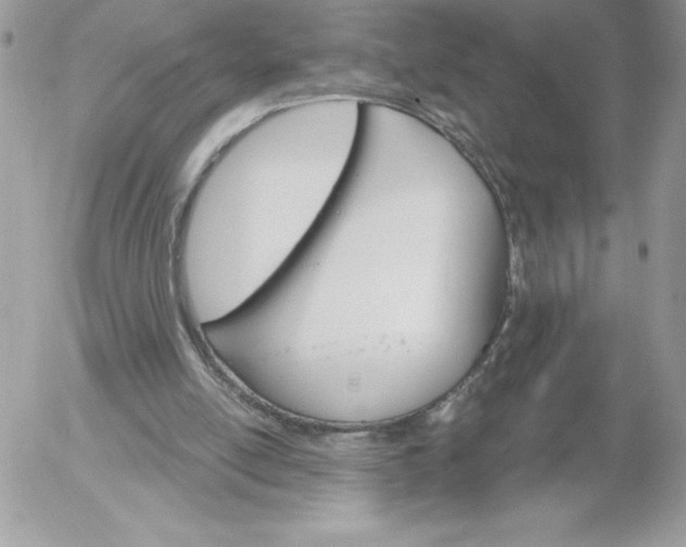 X0000052940054200507221157