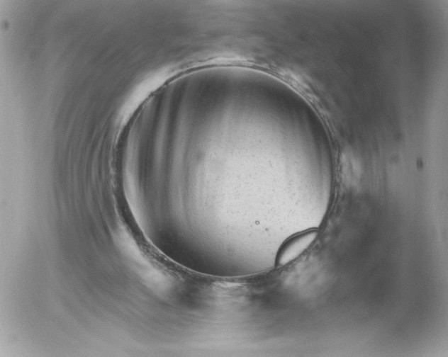 X0000052940055200507221157