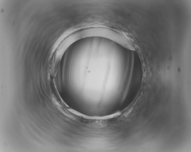 X0000052940056200507221157