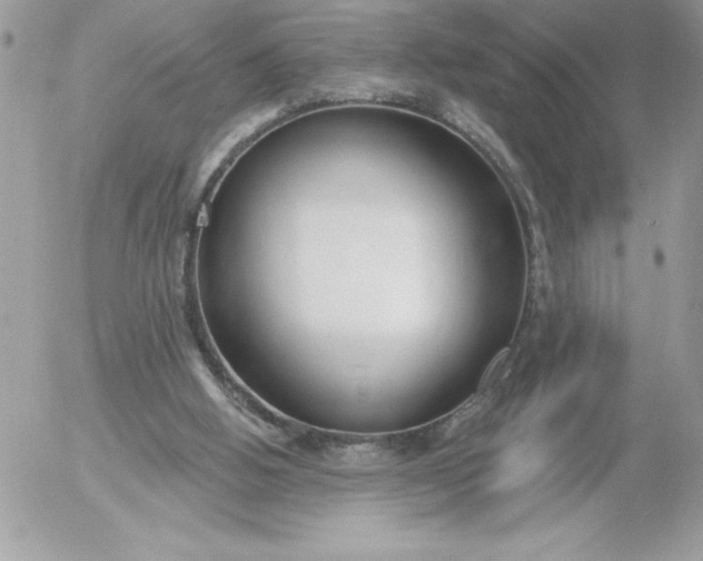 X0000052940058200507221157