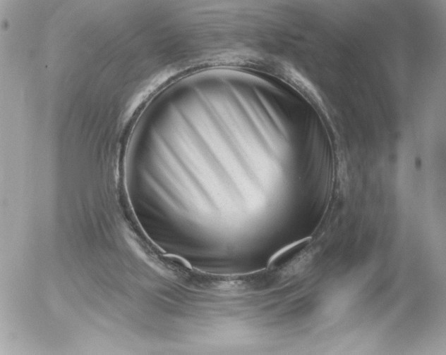 X0000052940059200507221157