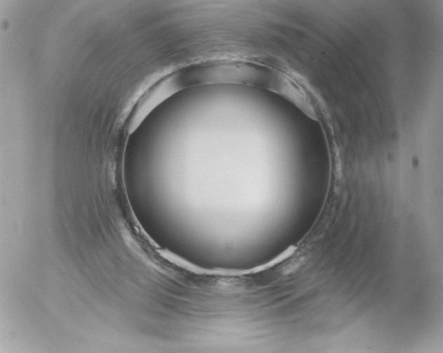 X0000052940060200507221157