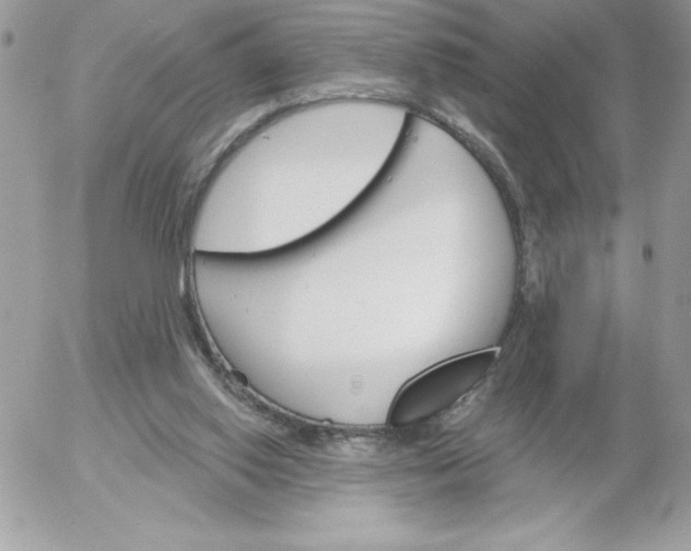 X0000052940062200507221157