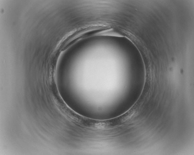 X0000052940064200507221157