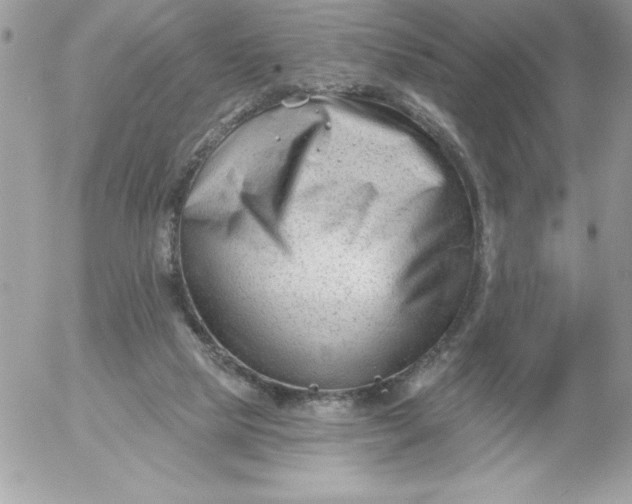 X0000052940065200507221157