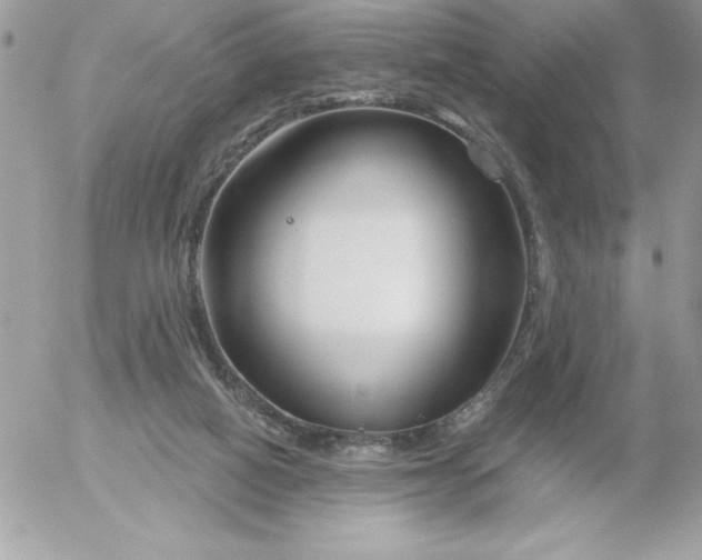 X0000052940066200507221157