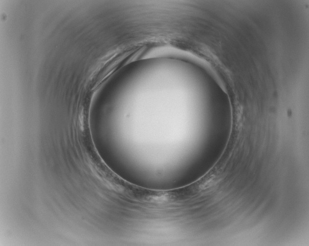 X0000052940068200507221157