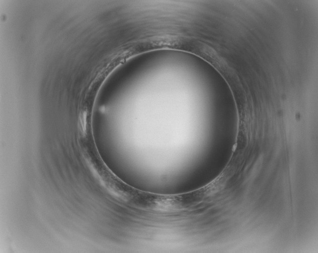 X0000052940070200507221157