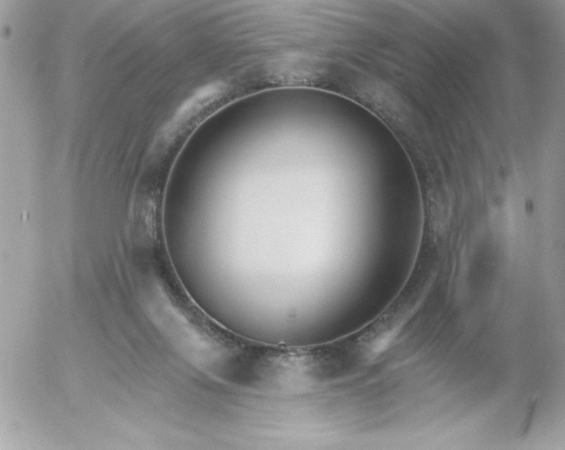 X0000052940071200507221157