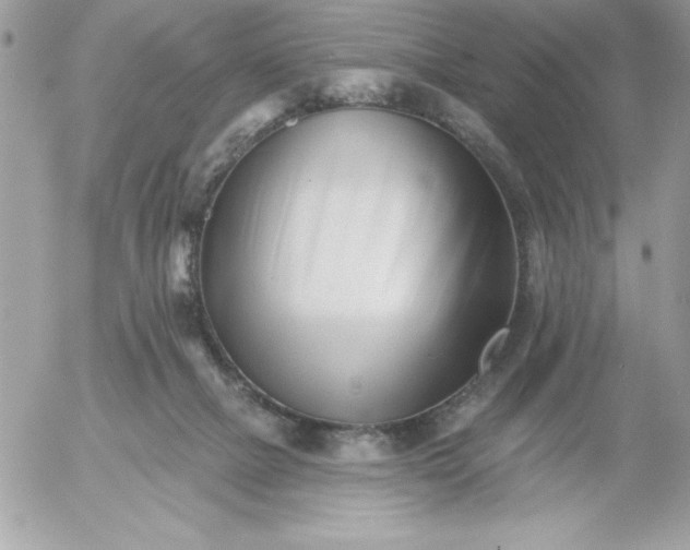 X0000052940073200507221157