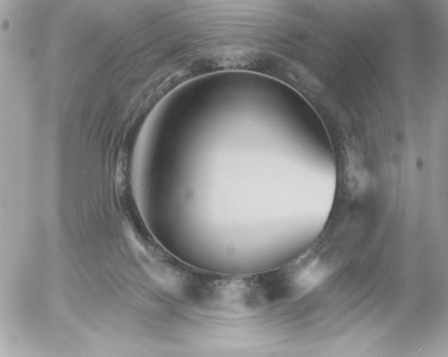 X0000052940074200507221157