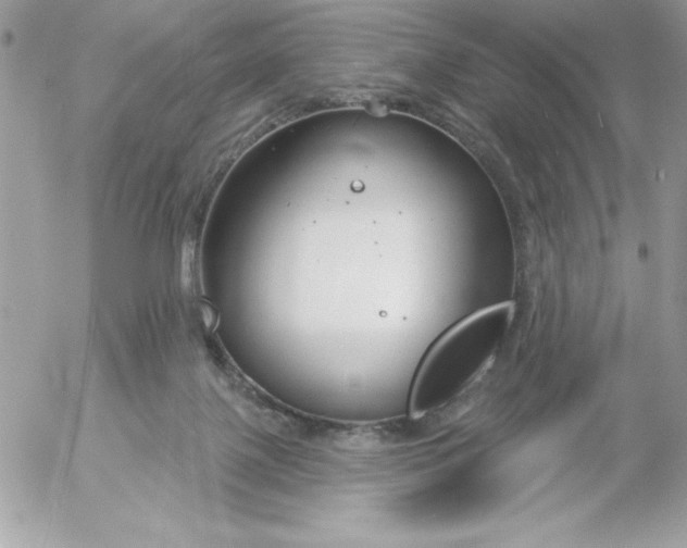 X0000052940075200507221157