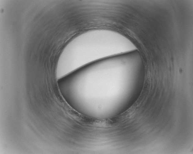 X0000052940076200507221157