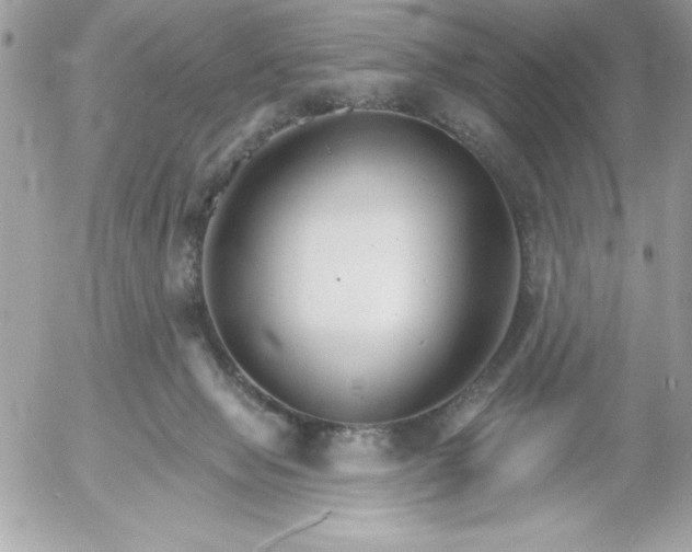 X0000052940077200507221157