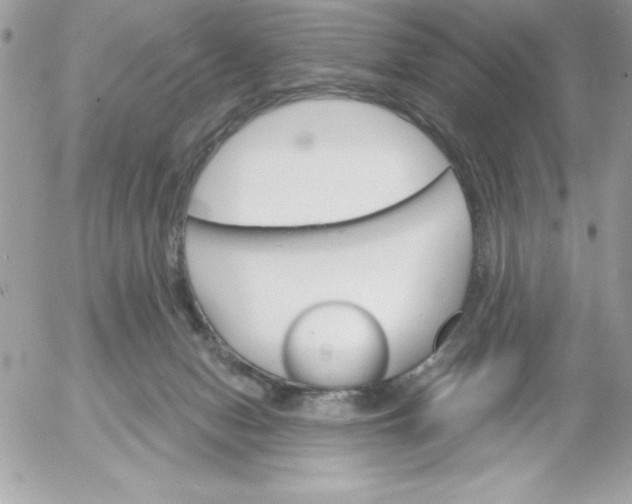 X0000052940078200507221157