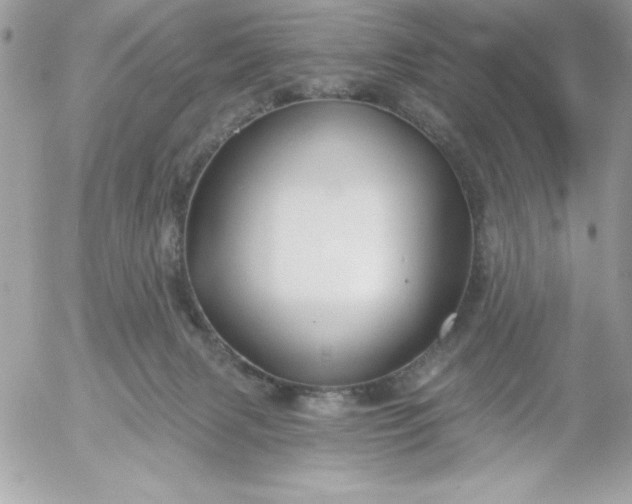 X0000052940079200507221157