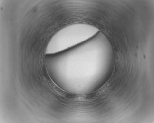 X0000052940080200507221157