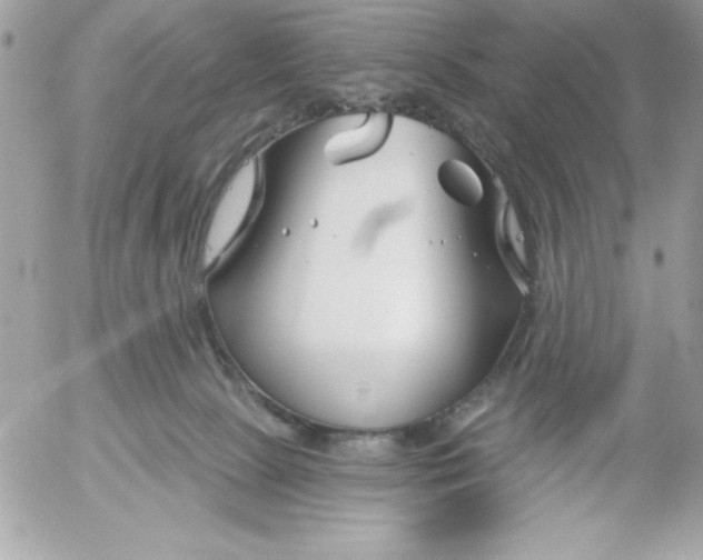 X0000052940081200507221157