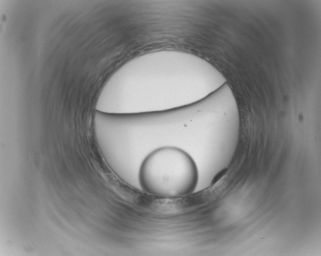 X0000052940082200507221157