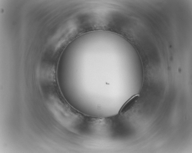 X0000052940083200507221157