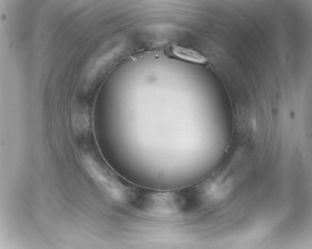 X0000052940085200507221157