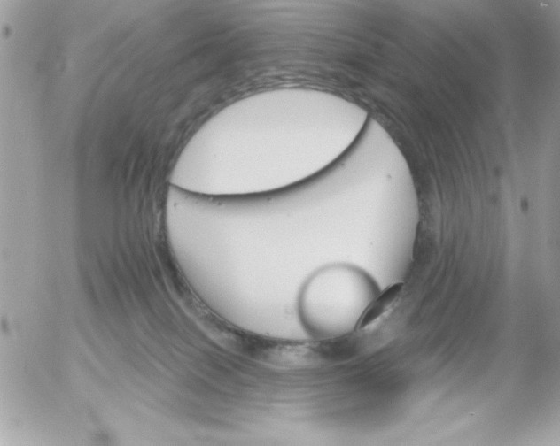 X0000052940086200507221157