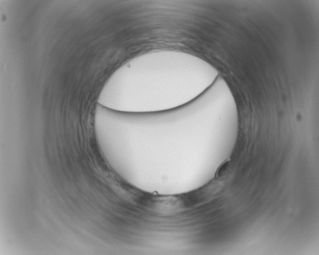 X0000052940087200507221157