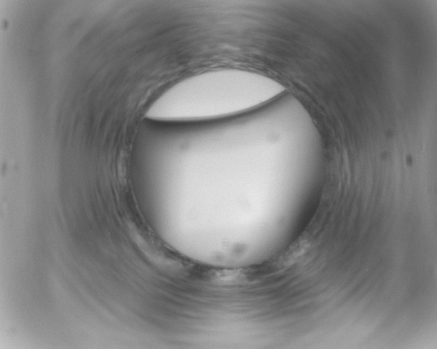 X0000052940088200507221157