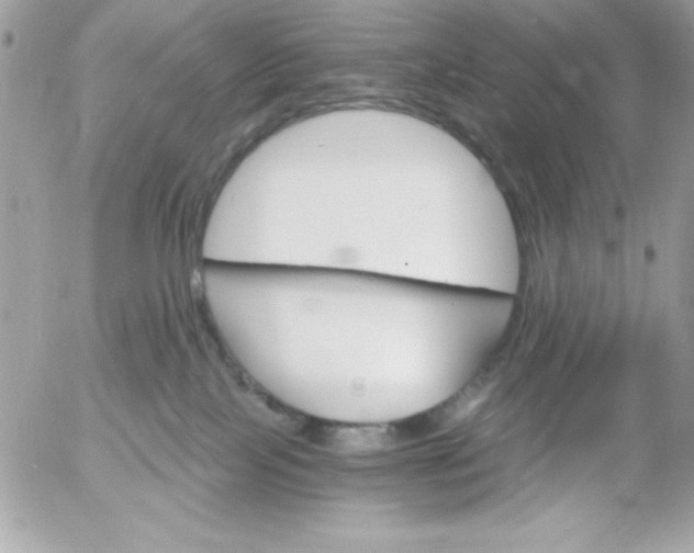 X0000052940089200507221157