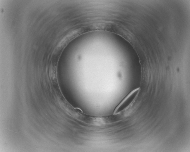 X0000052940091200507221157