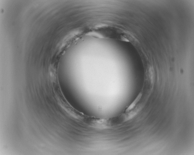 X0000052940092200507221157