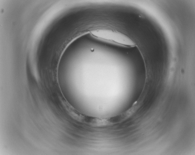 X0000052940093200507221157