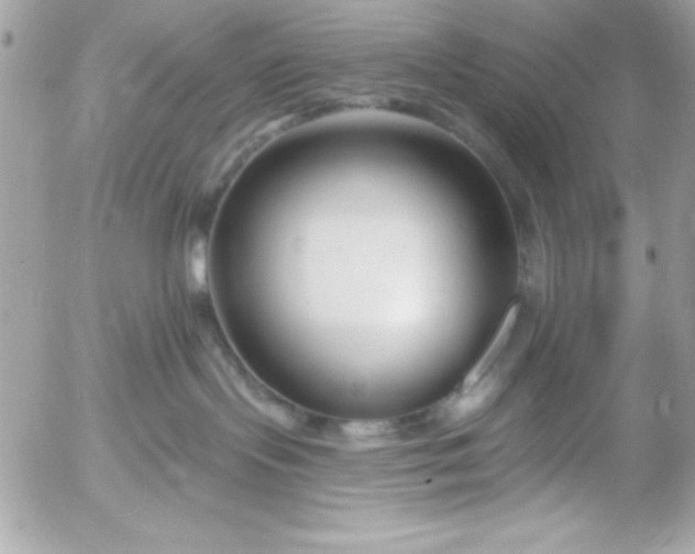 X0000052940095200507221157