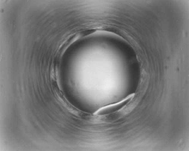 X0000052940096200507221157